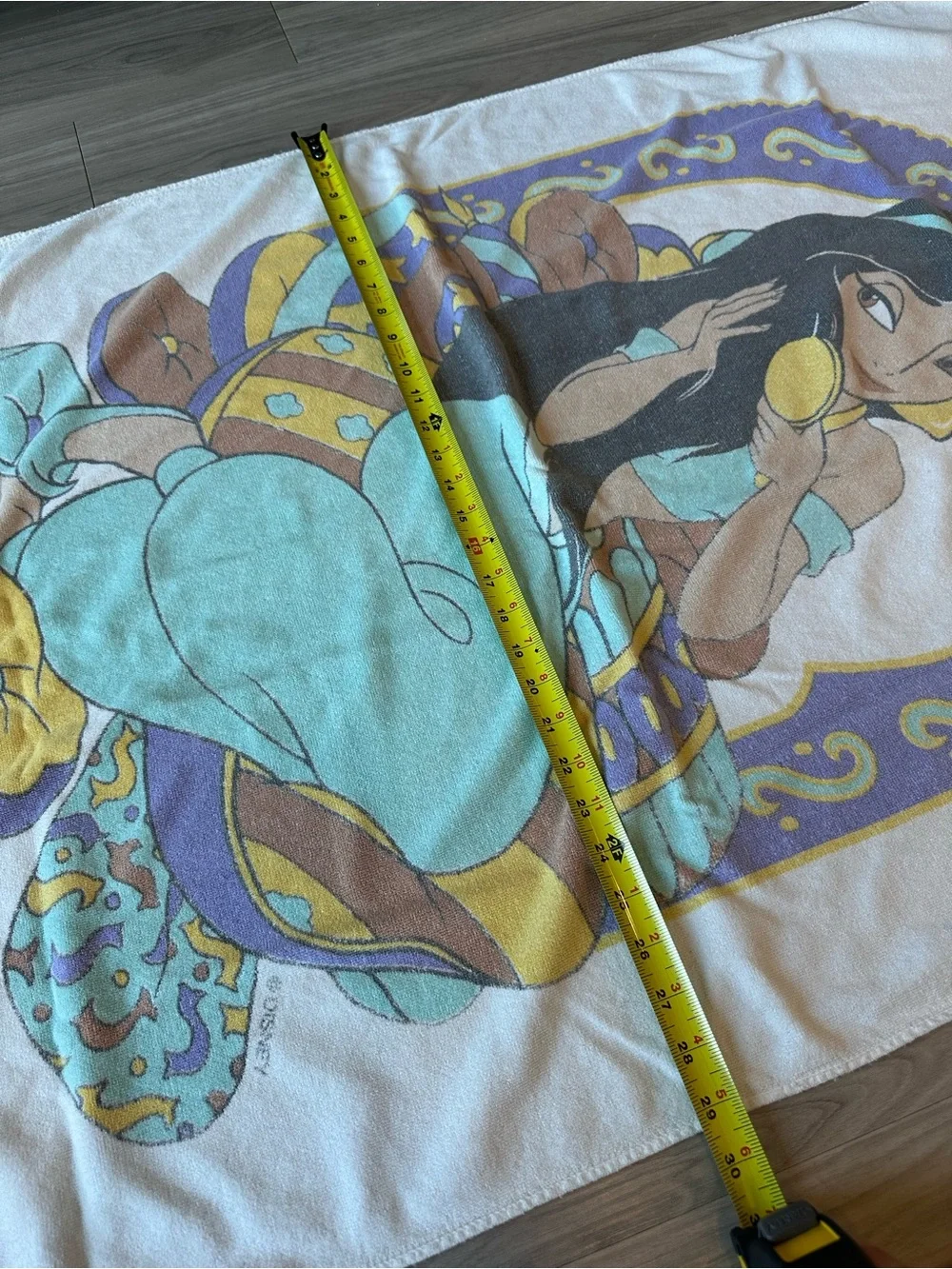 Disney gently used